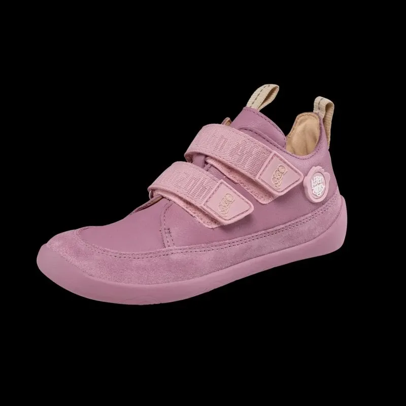 Pamja 9