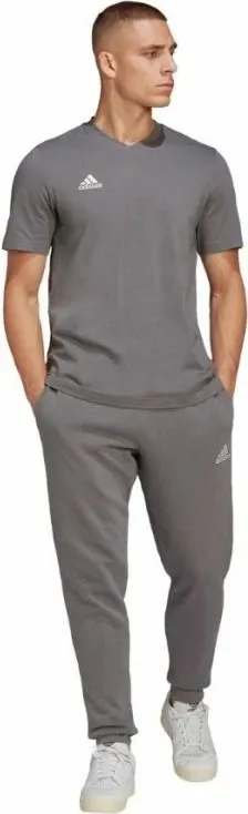 Pamja 4
