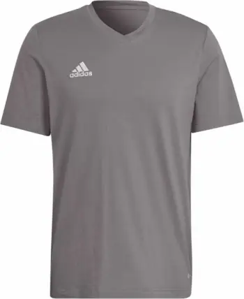 Maicë për Meshkuj adidas Entrada 22 Tee, Gri