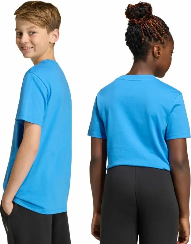 Pamja 3