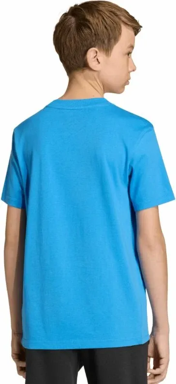 Pamja 5