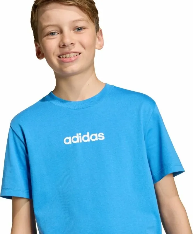 Pamja 6