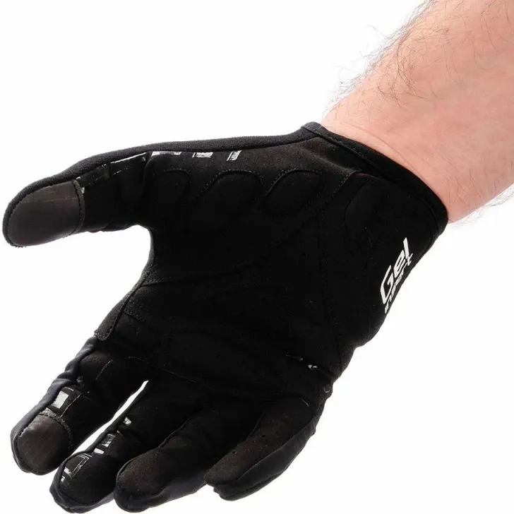 Pamja 5