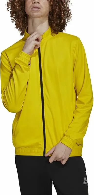 Pamja 3
