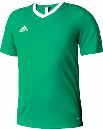 Fanellë Futbolli për Fëmijë adidas Entrada 22 Jersey, e Gjelbër