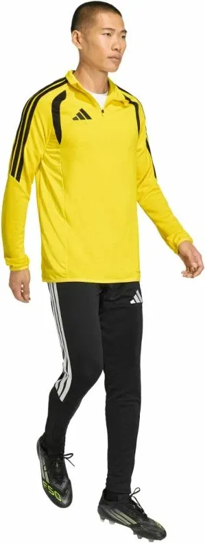 Pamja 6