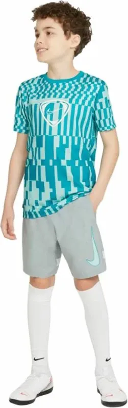 Pamja 6