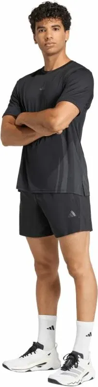 Pamja 6