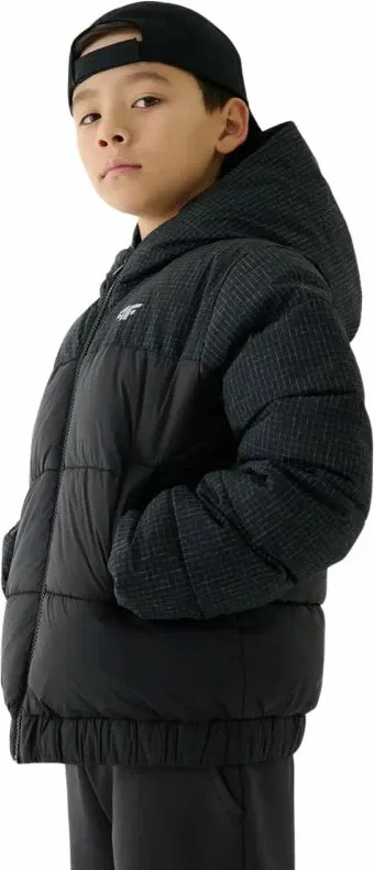 Pamja 4