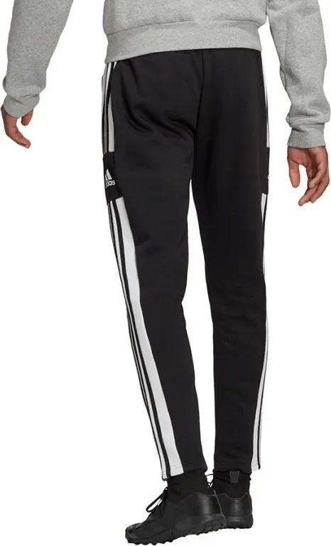 Pamja 4