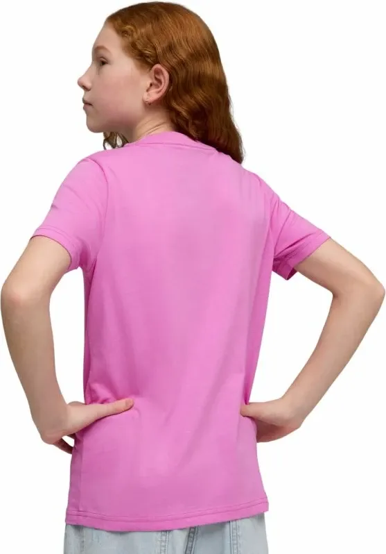 Pamja 4