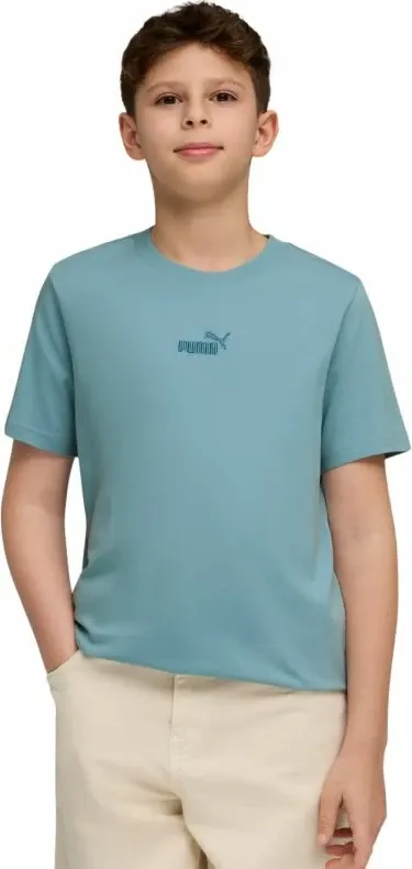 Pamja 1