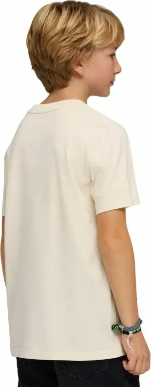 Pamja 4