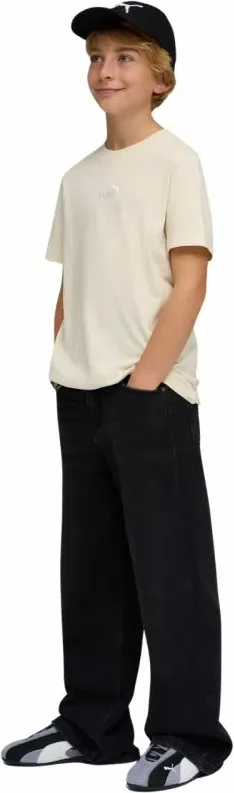 Pamja 5