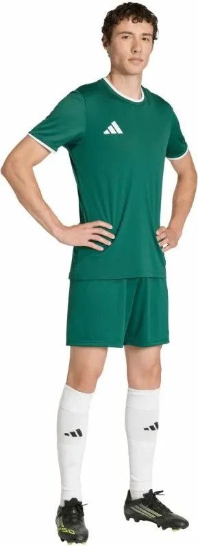 Fanellë meshkuj adidas Entrada 26, e gjelbër - 7