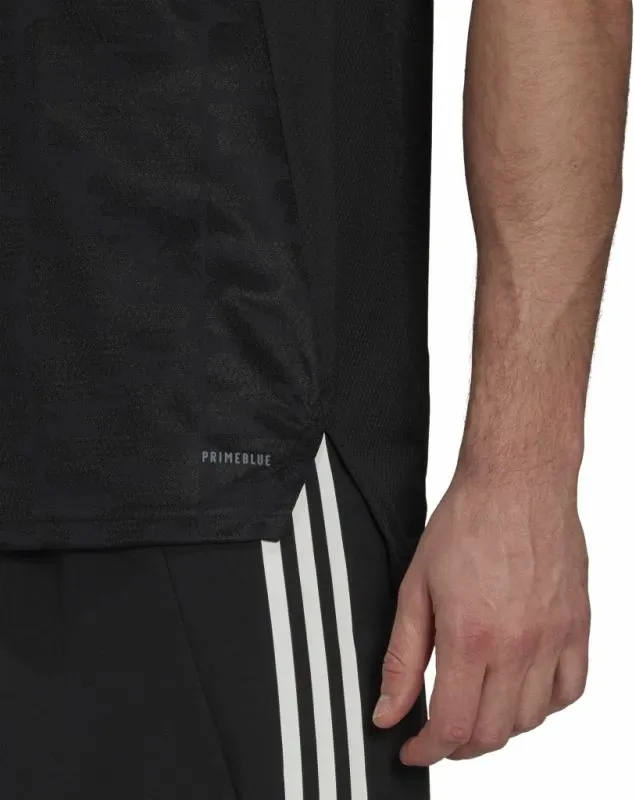 Pamja 3