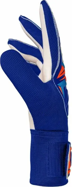 Pamja 4