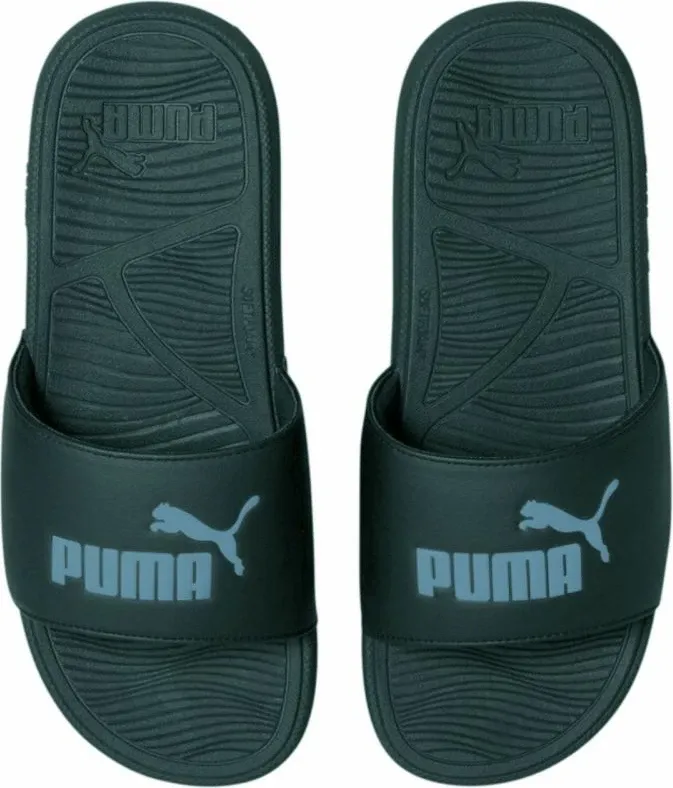 Pamja 2