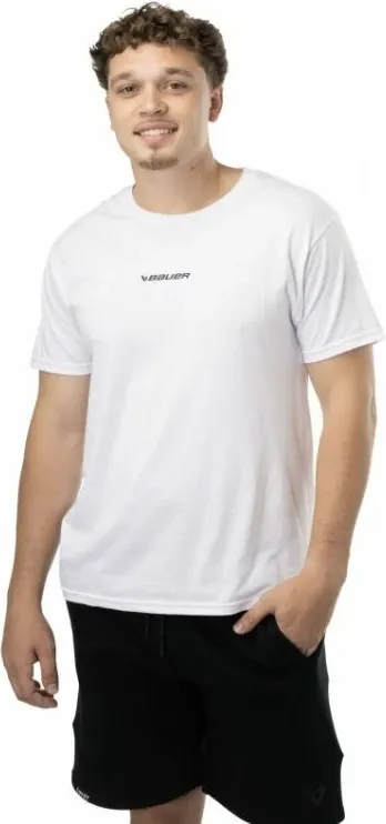 Pamja 17