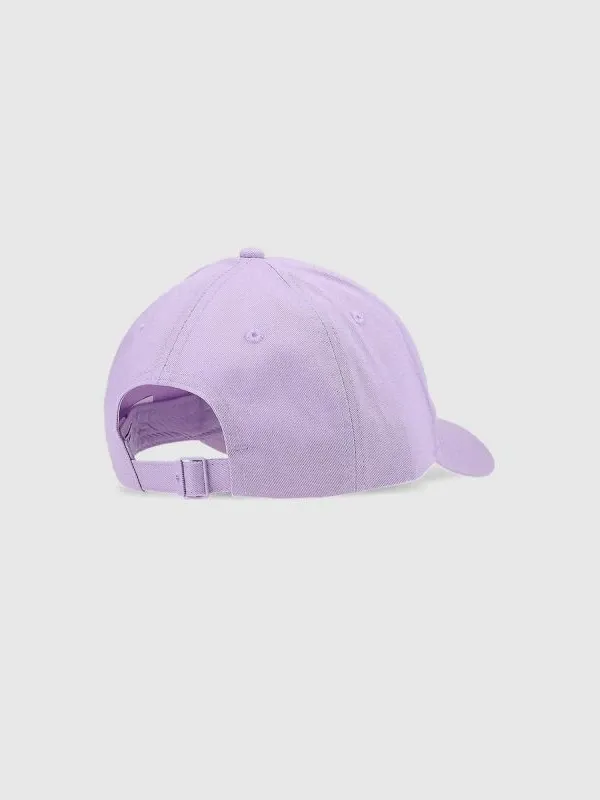 Pamja 2