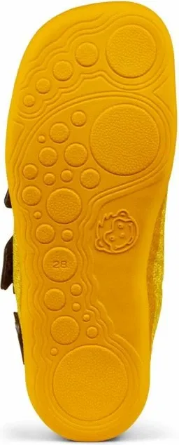 Pamja 5