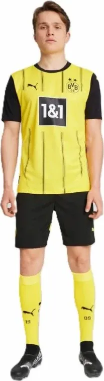 Pamja 6