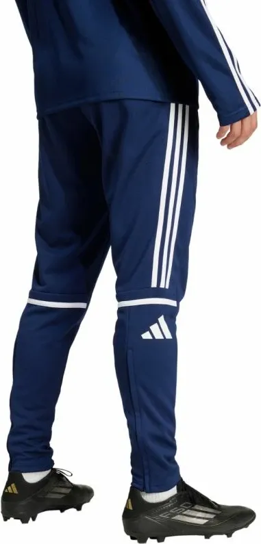 Pamja 3