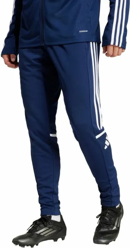 Pamja 4