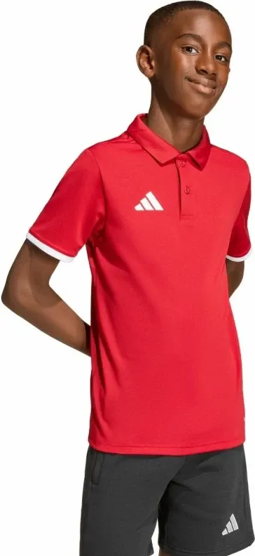 Pamja 12