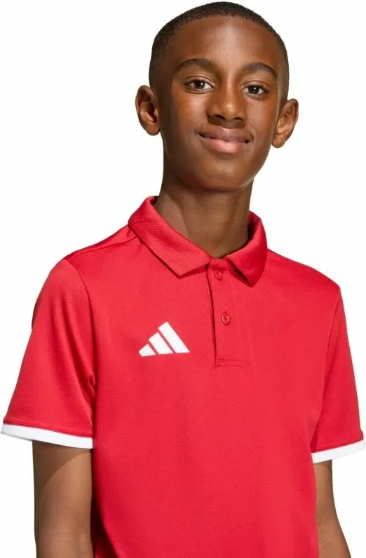 Pamja 14