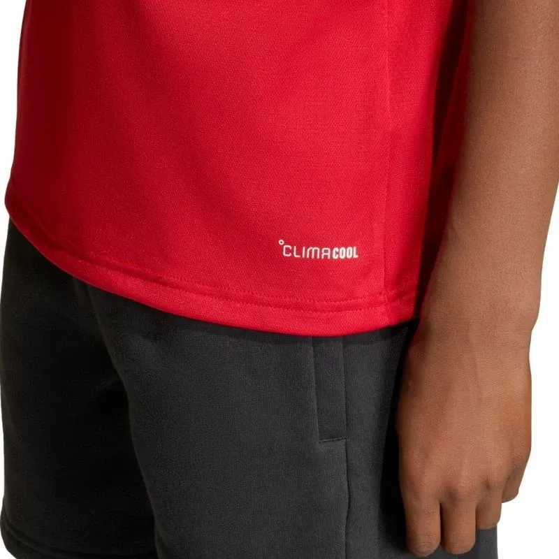 Pamja 7