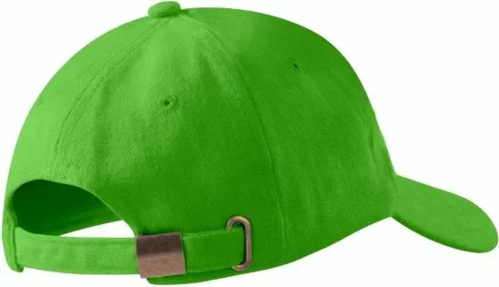 Pamja 4