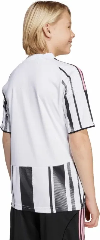 Pamja 6
