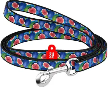 Litar qeni Waudog 4201000090-3, najlon, 122 cm, 20 mm, dizajn fig