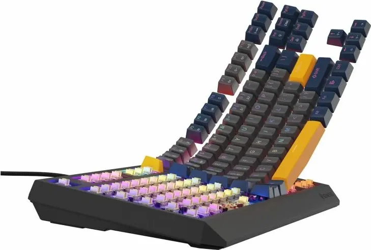 Pamja 7