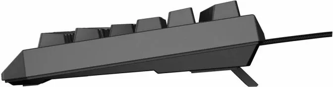 Pamja 12