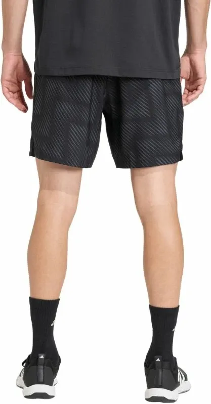 Pamja 3