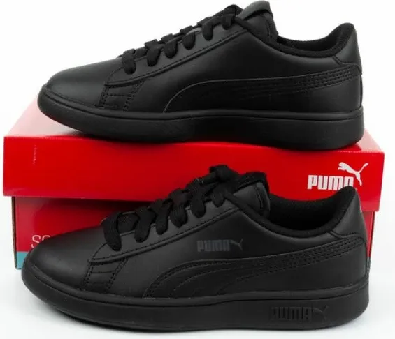 Pamja 10