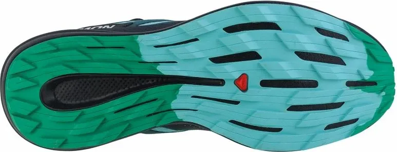 Atlete për meshkuj Salomon Pulsar Trail, blu - 4
