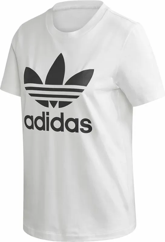Pamja 1