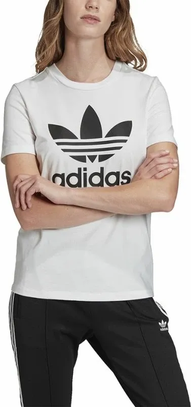 Pamja 3