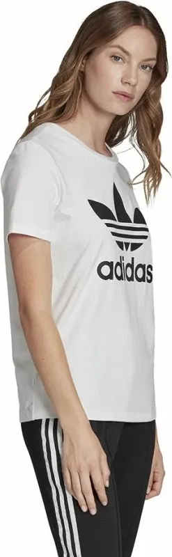 Pamja 4