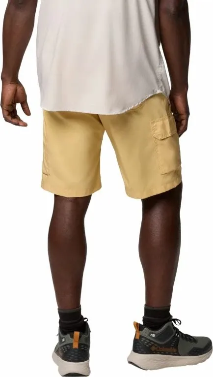 Pamja 2