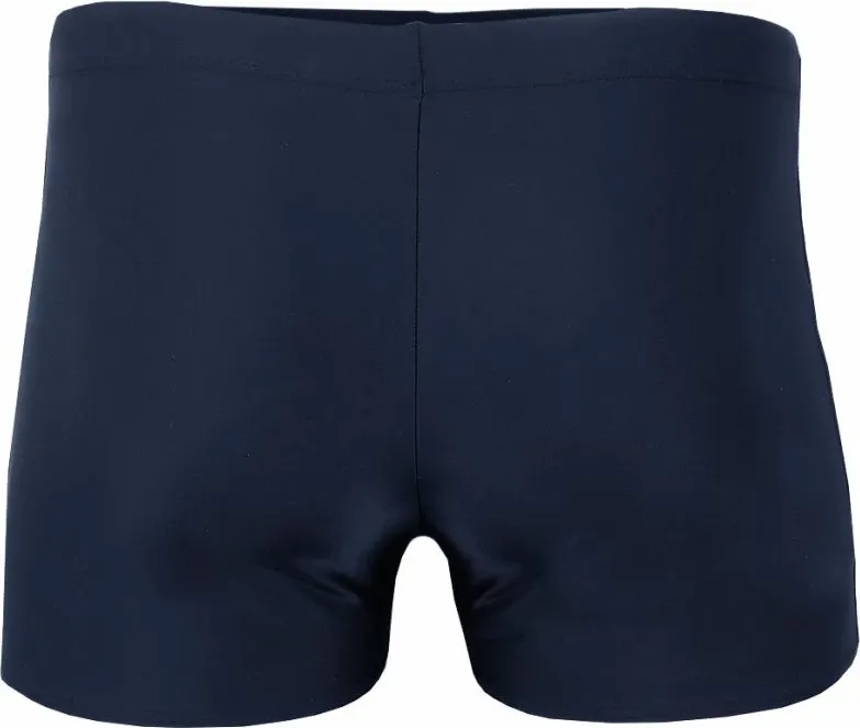 Pamja 2