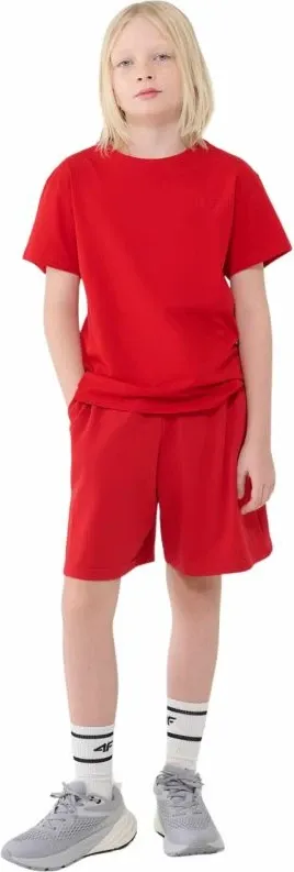 Pamja 5