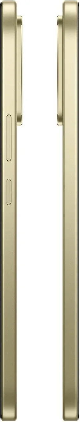 Pamja 8