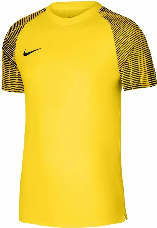 Pamja 1