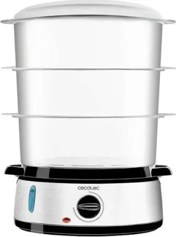 Avullore Cecotec Vapovita 3000 Inox, 9L, inox, argjendtë