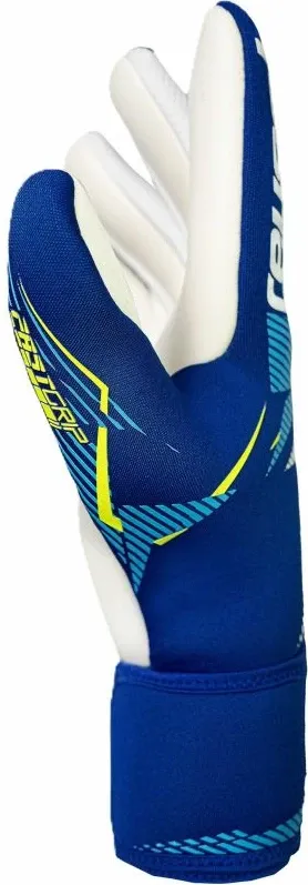 Pamja 4