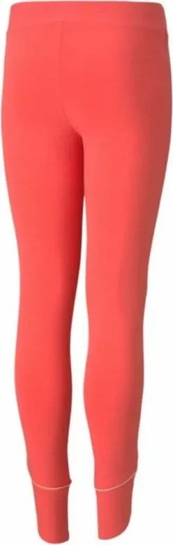 Pamja 2